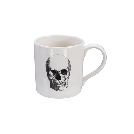 Becher Skull