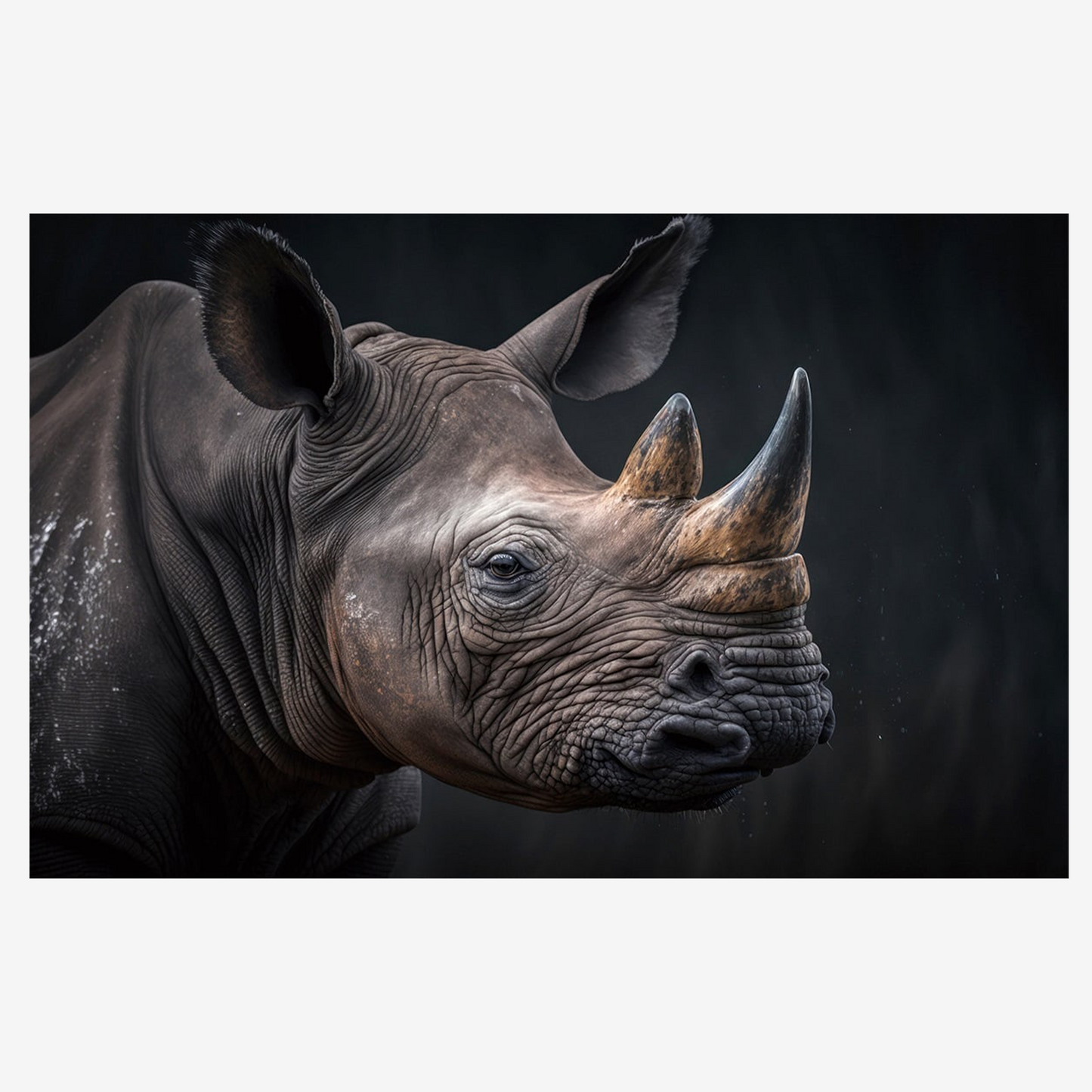 Glasbild "Neushorn"